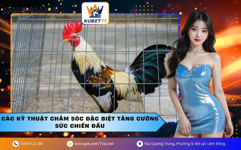 Các Kỹ Thuật Chăm Sóc Đặc Biệt Tăng Cường Sức Chiến Đấu