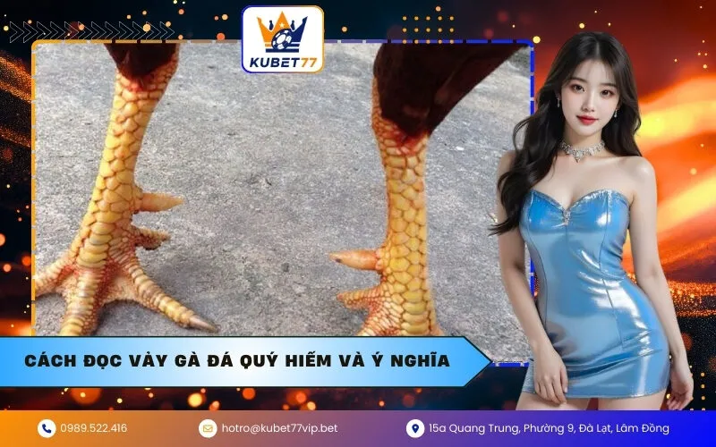 Cách đọc vảy gà đá quý hiếm và ý nghĩa