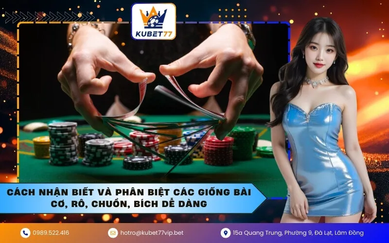 Cách Nhận Biết và Phân Biệt Các Giống Bài Cơ, Rô, Chuồn, Bích Dễ Dàng