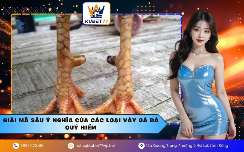 Giải mã sâu ý nghĩa của các loại vảy gà đá quý hiếm