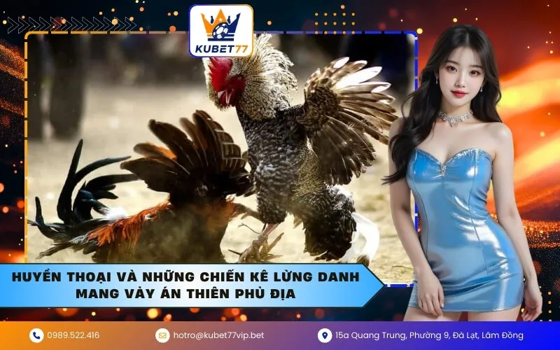 Huyền thoại và những chiến kê lừng danh mang vảy Án Thiên Phủ Địa
