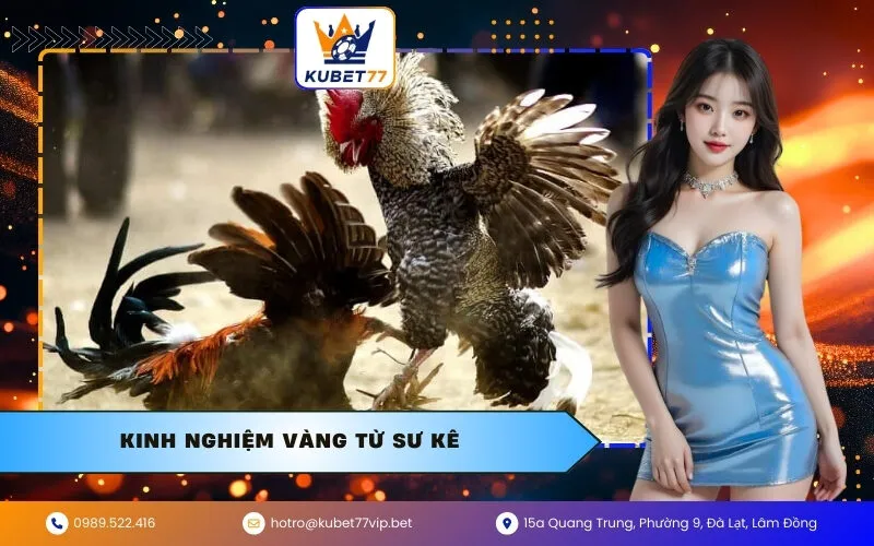 Kinh nghiệm vàng từ Sư Kê