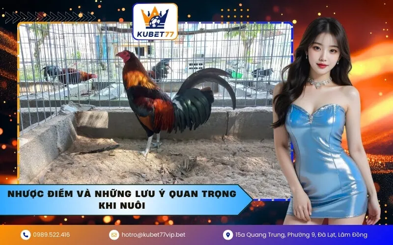 Nhược điểm và những lưu ý quan trọng khi nuôi