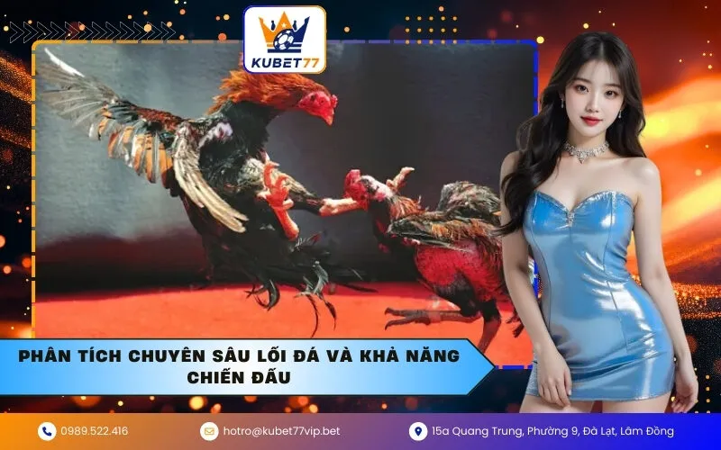 Phân tích chuyên sâu lối đá và khả năng chiến đấu