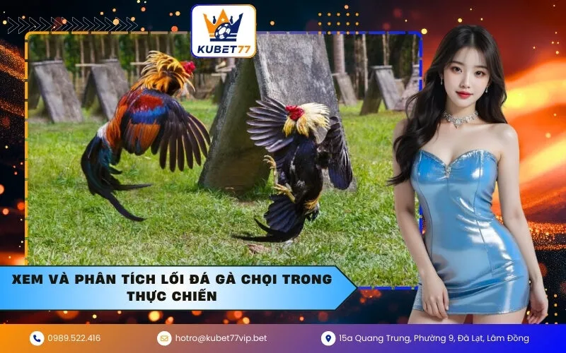 Xem và Phân Tích Lối Đá Gà Chọi Trong Thực Chiến