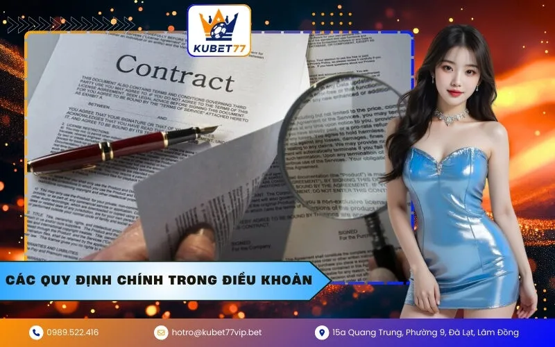 Các quy định chính trong Điều khoản